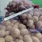 картофель, гала, бриз в Тутаеве
