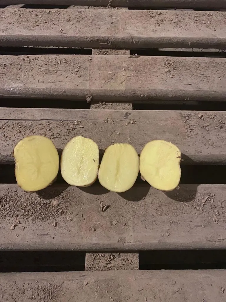 картофель оптом от фермера.. в Ярославле 3